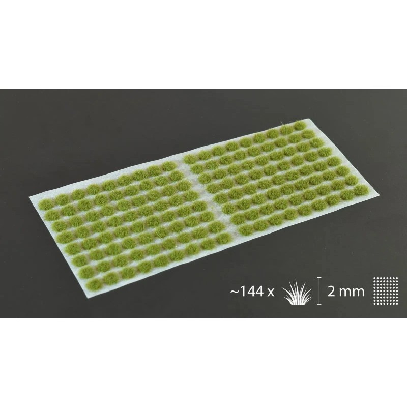 Dry Green (2mm) - Ancienne Référence Dry Green (2mm) - Ancienne Référence