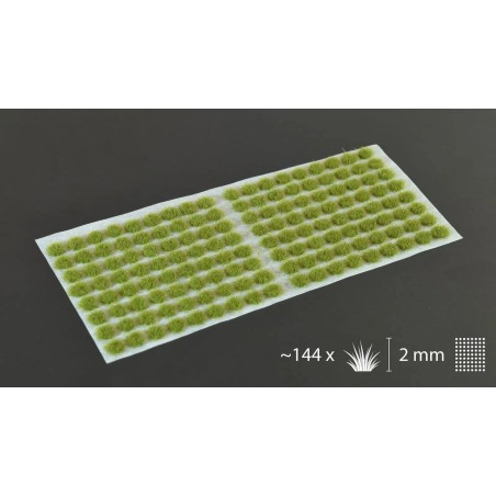 Dry Green (2mm) - Ancienne Référence