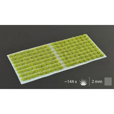 Moss (2mm) - Ancienne Référence