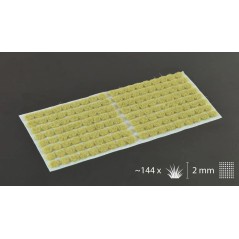 Beige (2mm) - Ancienne Référence
