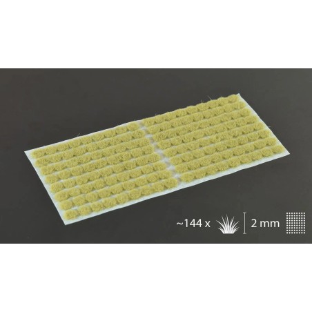 Beige (2mm) - Ancienne Référence