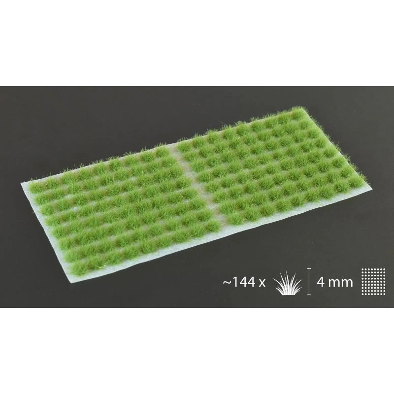 Green (4mm) Green (4mm)