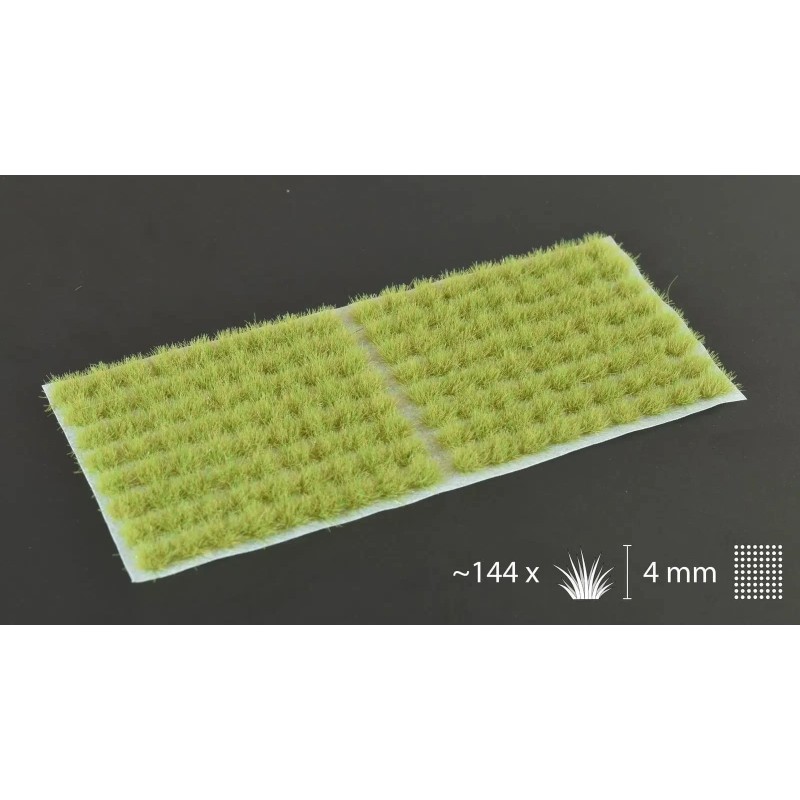 Light Green (4mm) Light Green (4mm)