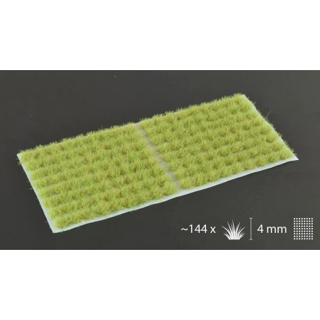 Light Green (4mm)