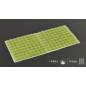 Light Green (4mm) Light Green (4mm)