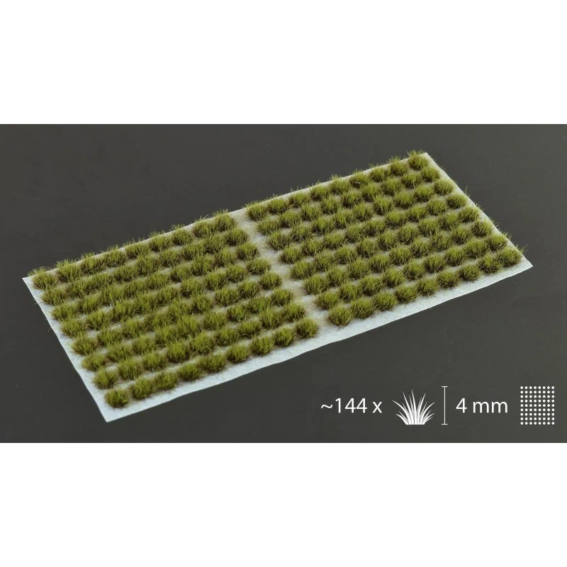 Swamp (4mm) Swamp (4mm)