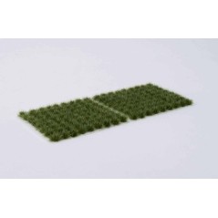 Strong Green (6mm)