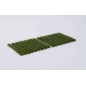 Strong Green (6mm) Strong Green (6mm)