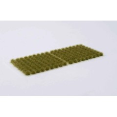 Dry Green (6mm)