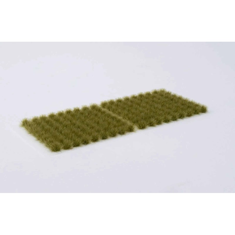 Dry Green (6mm) Dry Green (6mm)