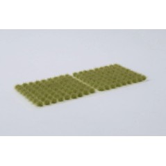 Light Green (6mm)