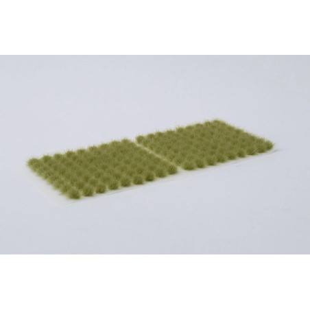 Light Green (6mm)