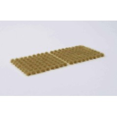 Beige (6mm)