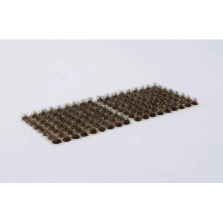 Burned (6mm)