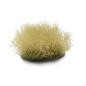 Dense Beige (6mm) Dense Beige (6mm)