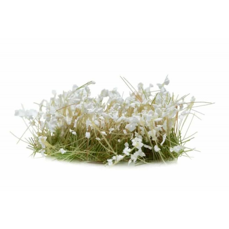 White Flowers White Flowers