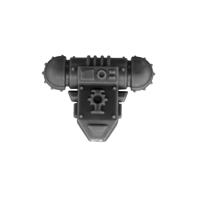 Pack Dorsal B Pack Dorsal B