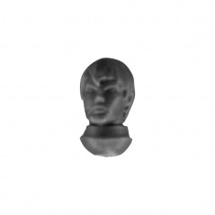 Head C