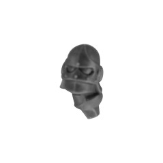 Head with Helmet K