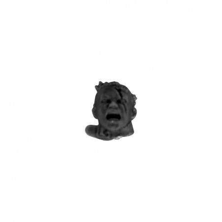 Head H