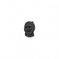 Head P