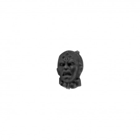 Head P