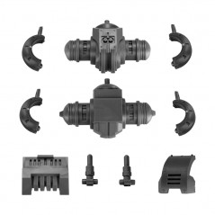 Pelvis