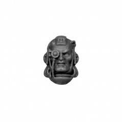 Bare Head A Warhammer Grey Knighs bitz