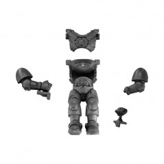 Pilot Body
