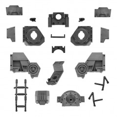 Torso