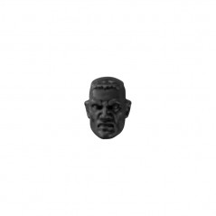 Cadian Head without Helmet A