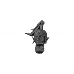 Guardian Head C