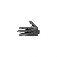 Left Hand