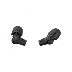Pair of Arms A