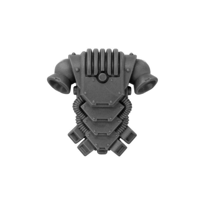 Pack Dorsal B Pack Dorsal B