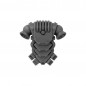 Pack Dorsal B Pack Dorsal B