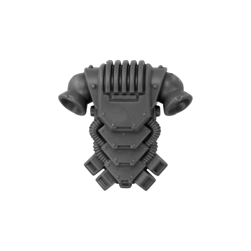 Pack Dorsal C Pack Dorsal C