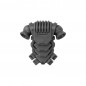 Pack Dorsal C Pack Dorsal C