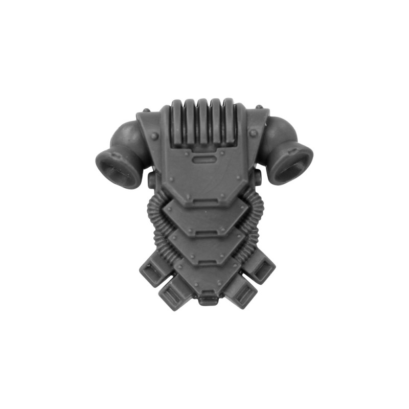 Pack Dorsal D Pack Dorsal D