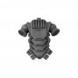 Pack Dorsal E Pack Dorsal E