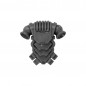 Pack Dorsal A Pack Dorsal A
