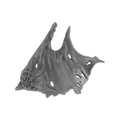Cloak