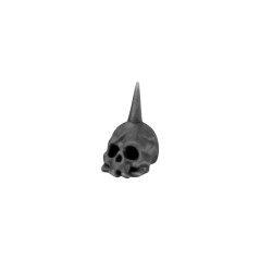 Skull on Spike