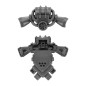 Pack Dorsal D Pack Dorsal D