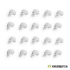 Human Skulls