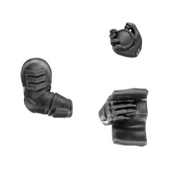 Arm with Accessories