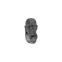 Bare Head E