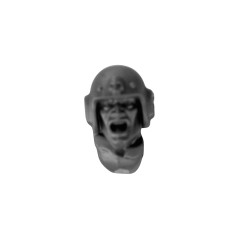 Head with Helmet J