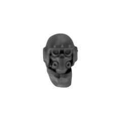 Head with Helmet K