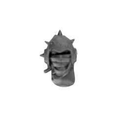 Head with Helmet Z